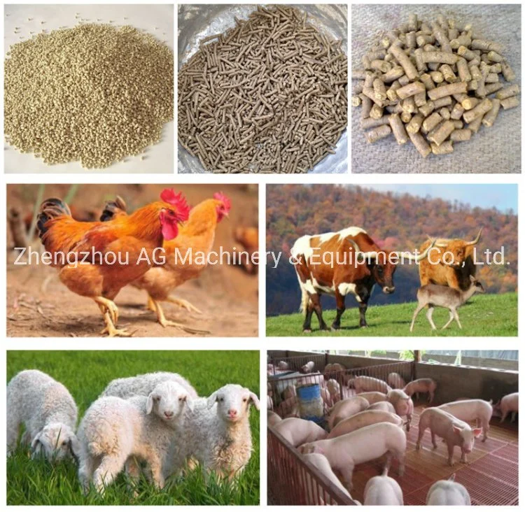 Ring Die Animal Feed Making Machine Poultry Feed Processing Plant