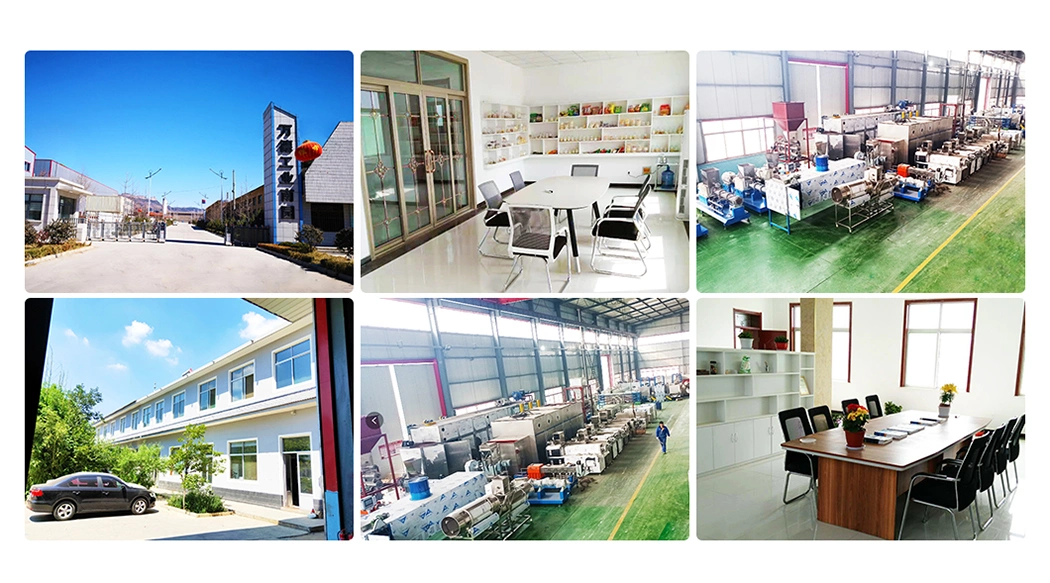 Dry Pet Cat Dog Food Fish Feed Extruder Equipment Plant Animal Pet Dog Food Pellet Production Line Machine